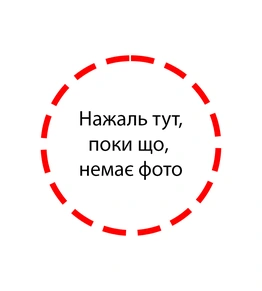 Футболка чоловіча ADIDAS Коричневий 2111м (1шт), M