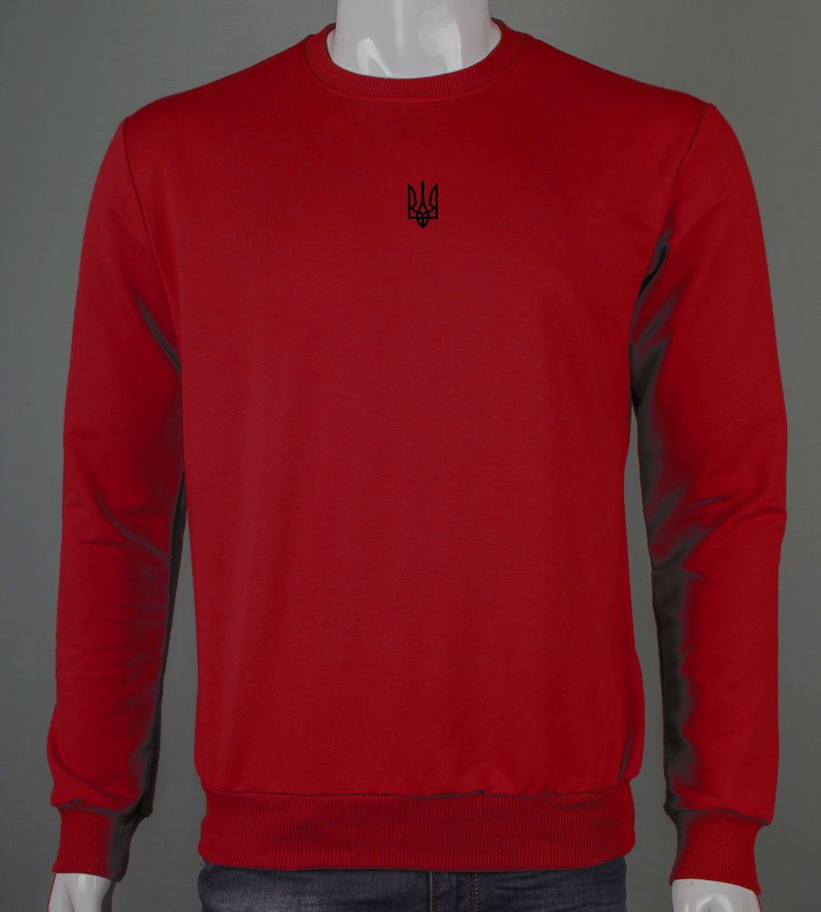 Світшот чоловічий Тризуб 7401с (Уп.4шт M-XXL)