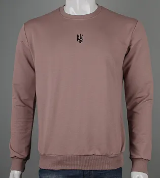 Світшот чоловічий Тризуб 7401с (Уп.4шт M-XXL), Капучино