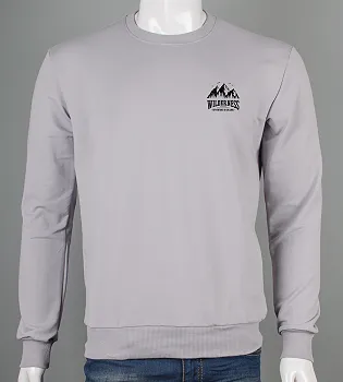 Світшот чоловічий Wilderness 7405с (Уп.4шт M-XXL), Світло-сірий