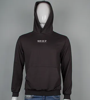 Світшоти, худі